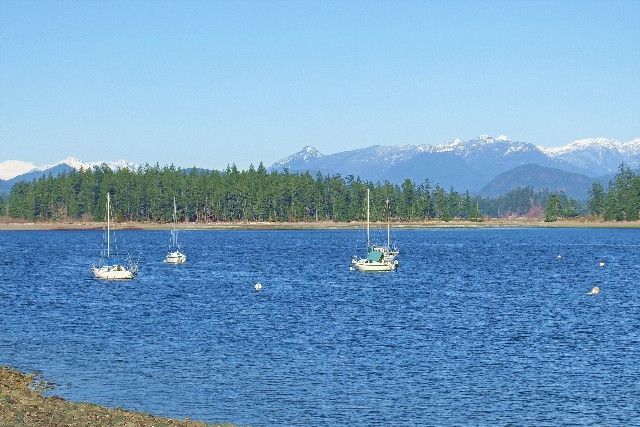 Brightfish Charters Quadra Island Area